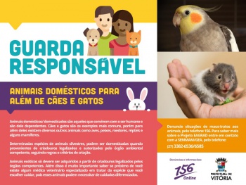 Guarda responsável de animais domésticos