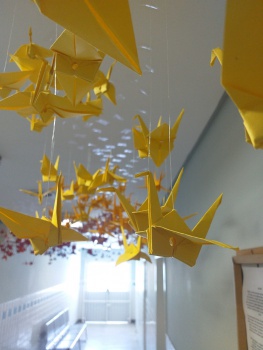 origami US Ilha das Caieiras