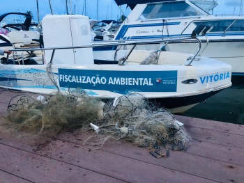 Fiscalização ambiental