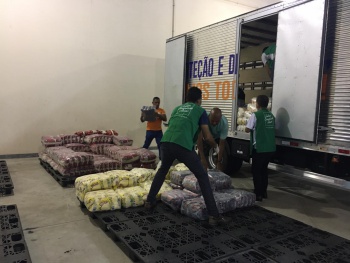 Doação de alimentos da campanha Vitória Solidária
