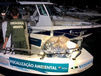 Fiscalização ambiental