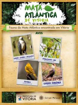 Exposição on-line de Mata Atlântica