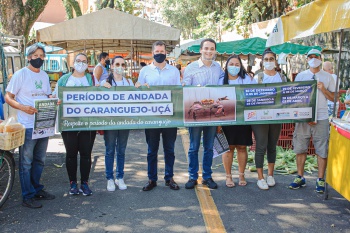 Ação SEMMAM sobre a Andada do Caranguejo-Uçá na Feira de Santo Antônio