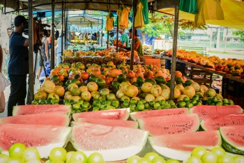 Feira Livre em Itararé