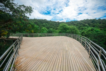Parque da Fonte Grande - Mirante Canto da Floresta