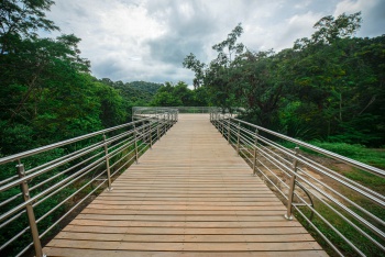 Parque da Fonte Grande - Mirante Canto da Floresta