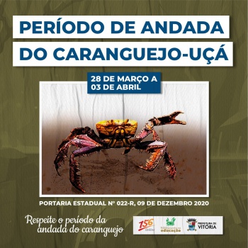 Caranguejo no manguezal