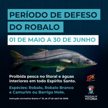Defeso do robalo