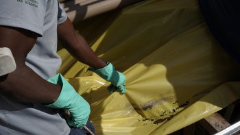 Mutirão de combate ao Aedes Aegypti