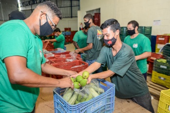 Montagem de Kit Verde Alimentação Escolar