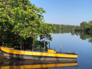 Ação de limpeza em Maria Ortiz