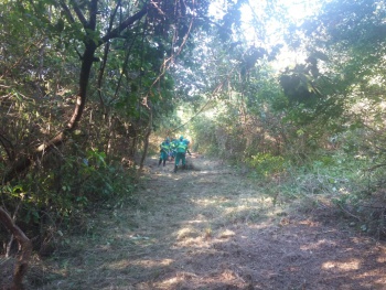 Aceiro que está sendo realizado no Parque Vale do Mulembá