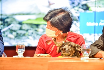 Lançamento Programa de Castração Animal