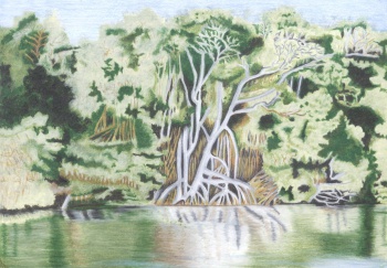 Reserva Rogério Dalmonech