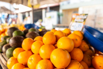 Barraca de Frutas em feira livre
