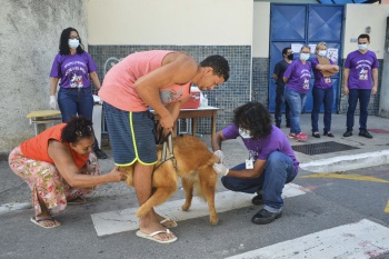 Campanha de vacinação antirrábica em São Pedro