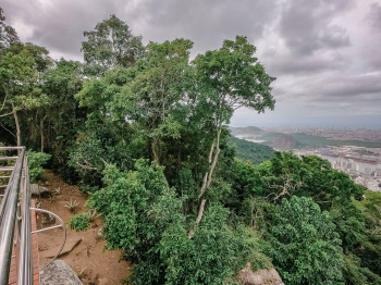 Parque da Fonte Grande - Trilha e Mata Atlântica