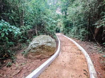 Parque da Fonte Grande - Trilha e Mata Atlântica