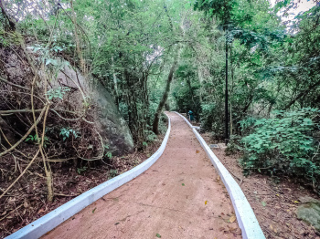 Parque da Fonte Grande - Trilha e Mata Atlântica