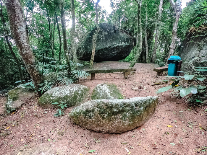 Parque da Fonte Grande - Trilha e Mata Atlântica