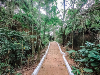 Parque da Fonte Grande - Trilha e Mata Atlântica