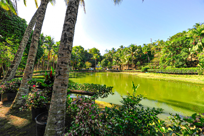 Parque Municipal da Fazendinha - Centro Ecológico Projeto Caiman