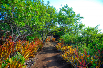 Parque Natural Municipal Chácara Von Schilgen