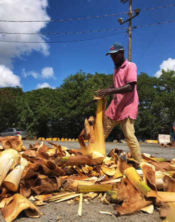 Venda de palmito na av. Dário Lourenço