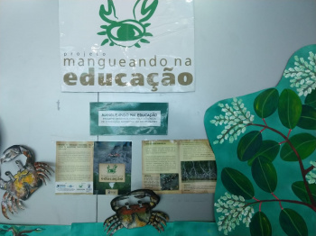 Meio Ambiente realiza encontro formativo sobre manguezais da Baía de Vitória