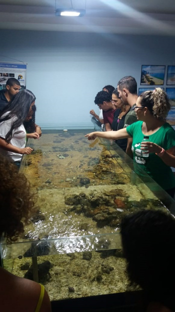 Meio Ambiente realiza encontro formativo sobre manguezais da Baía de Vitória