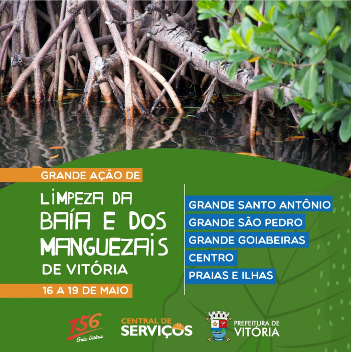 Mutirão de limpeza na orla e manguezais