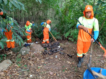 Mutirão de limpeza na baía e manguezais de Vitória