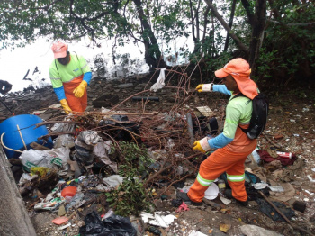 Mutirão de limpeza na baía e manguezais de Vitória