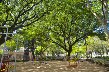 Aniversário do Parque Moscoso no Centro de Vitória