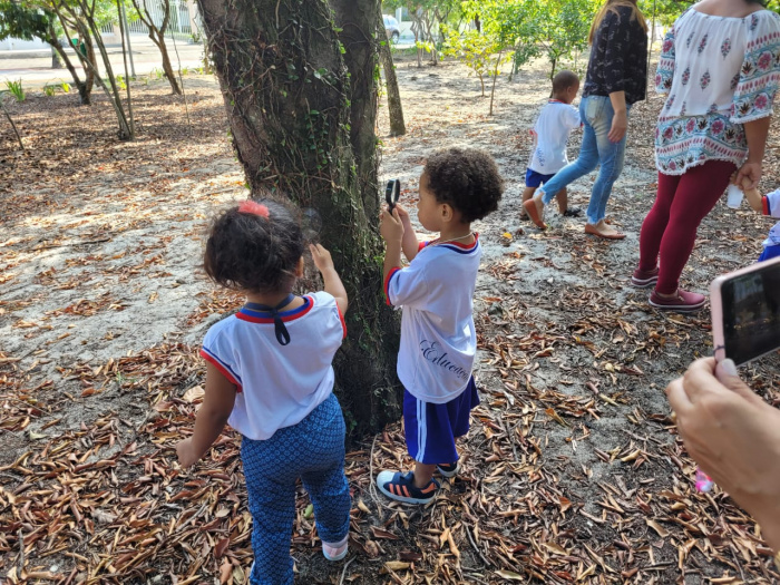 Projeto de educação ambiental leva estudantes do cmei ao Parque da Mata da Praia