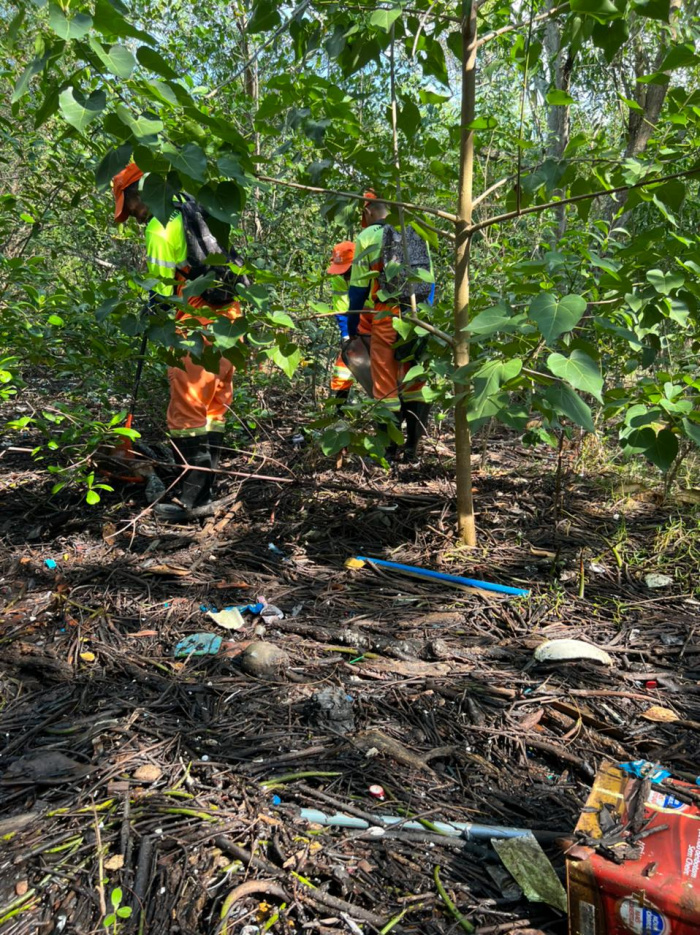 Mutirão de limpeza na baía e manguezais de Vitória
