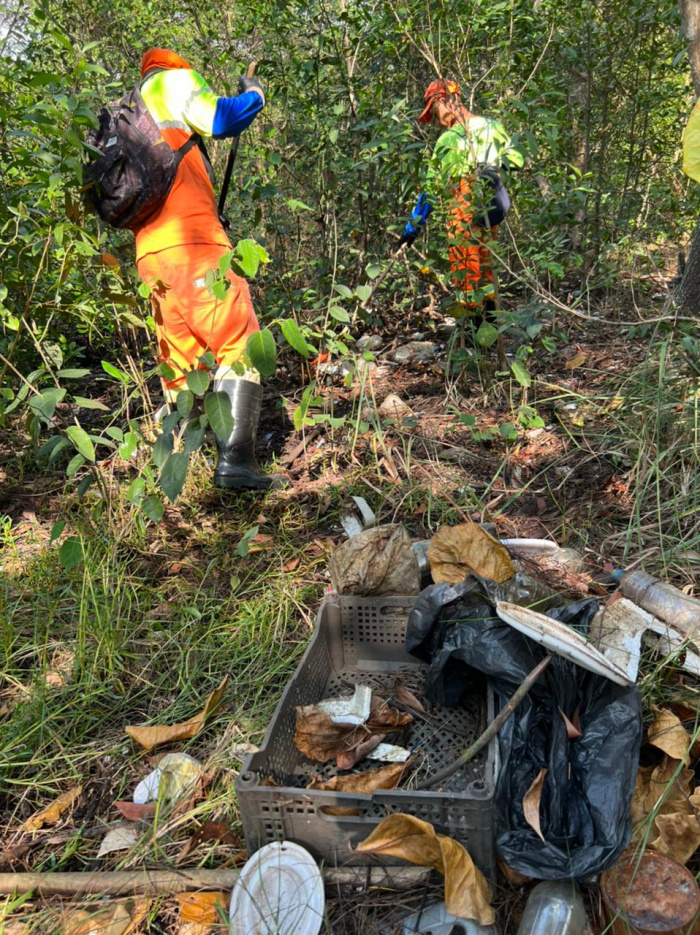 Mutirão de limpeza na baía e manguezais de Vitória