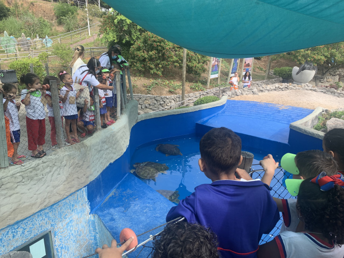 Estudantes durante visita pedagógica no Projeto Tamar