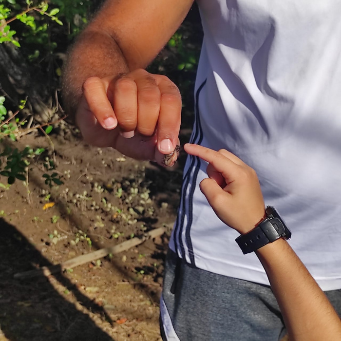 Mangueando na Educação