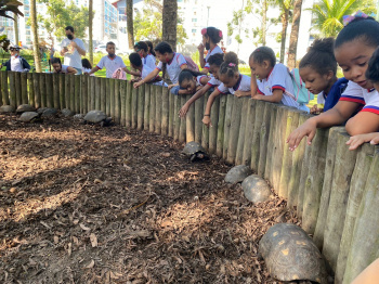 Estudantes visitam Mata Paludosa em projeto da Educação Ambiental