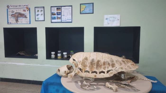 Escola de Biologia e História