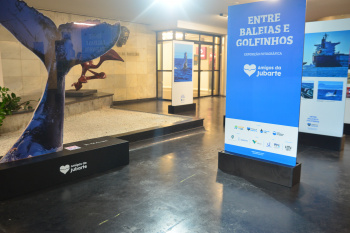 Exposição Baleia Jubarte