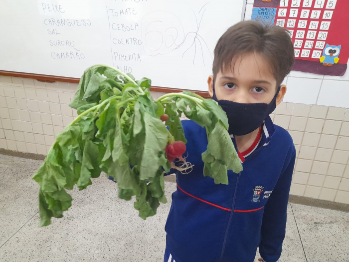 Educação nutricional: estudantes plantam hortaliças em projeto de escola