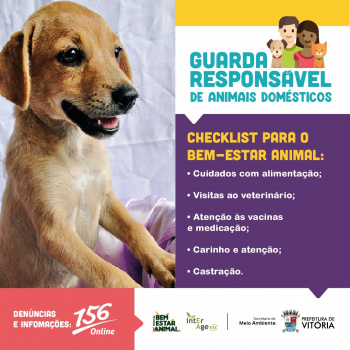 Guarda responsável de animais domésticos