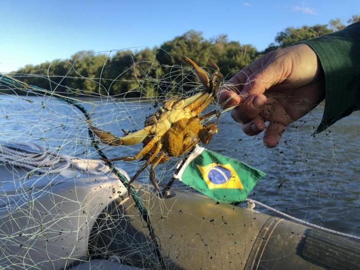 Fiscalização Ambiental de Vitória apreende rede de pesca com 300 metros