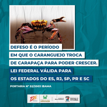 Arte caranguejo-uçá