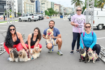 cãominhada