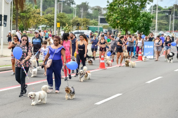 Cãominhada