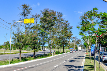 Placas 