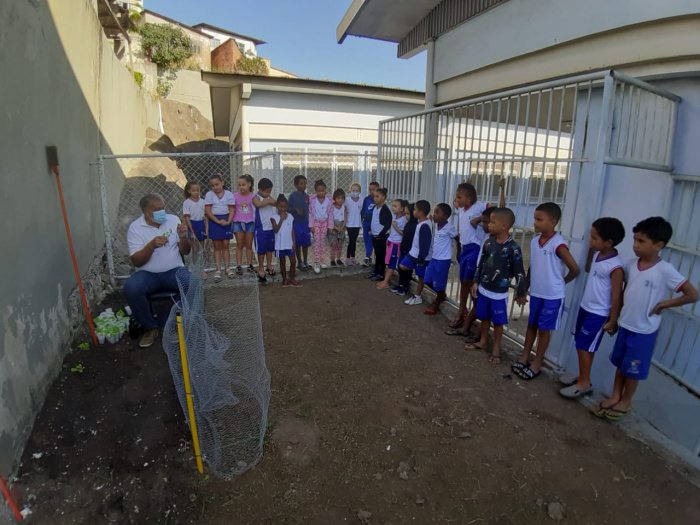 Horta orgânica da Emef Irmã Jacinta